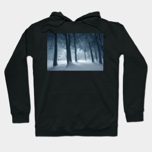 Winter Wonderland Hoodie